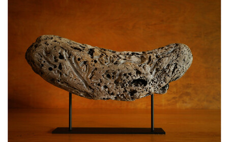 【相良パーティ】屋久島の流木【大サイズ】