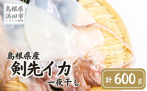 島根県産剣先イカ一夜干し 計600g（4～6枚）個包装・真空袋・ギフト 真空 個包装 干物 白イカ 保存料不使用 大容量 剣先イカ 一夜干し 【005_2097】