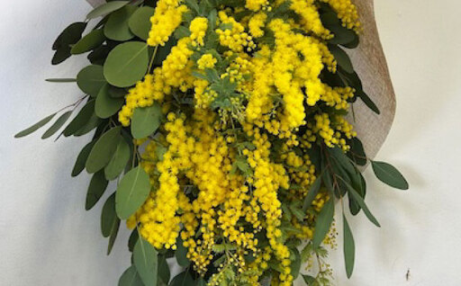 雑貨 ユーカリとミモザのスワッグ / ミモザ ユーカリ スワッグ ドライフラワー ブーケ 花束 花飾り インテリア雑貨 大阪府 / 大阪府藤井寺市/JamFlowerSalon [BLAW001]