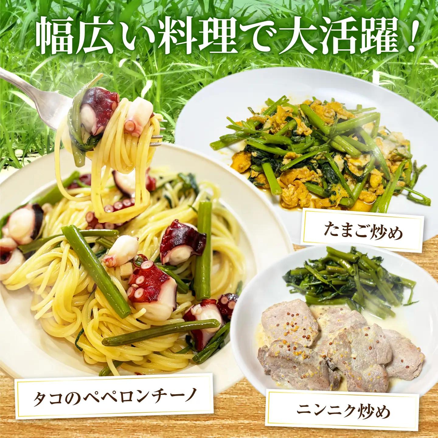 【ほうれん草の代わりになる】くうしん菜（空心菜）10袋 新鮮 野菜 葉物野菜 サラダ 国産 小分け AMCD004