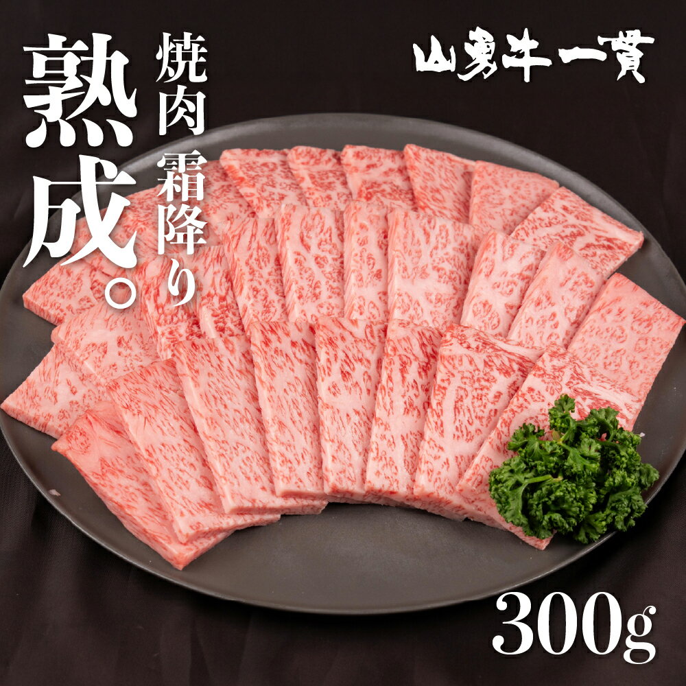 【ふるさと納税】熟成飛騨牛 『山勇牛』 霜降り 焼肉用 300g / 500g 飛騨の牧場で育った『山勇牛』 冷凍 牛肉 和牛 肉 熨斗掛け［Q3223］20000円 30000円