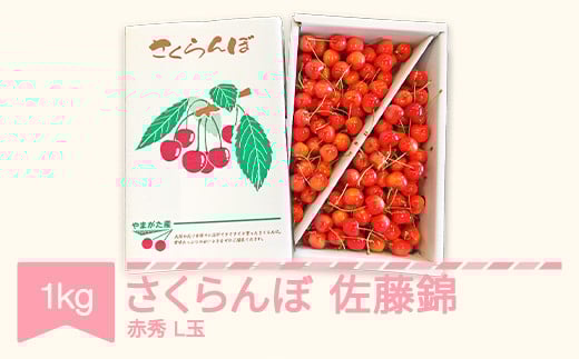 
            先行予約 さくらんぼ 佐藤錦 赤秀 L玉 1kg バラ詰 ご家庭用 2025年産 令和7年産 山形県産 mm-snalx1000
          