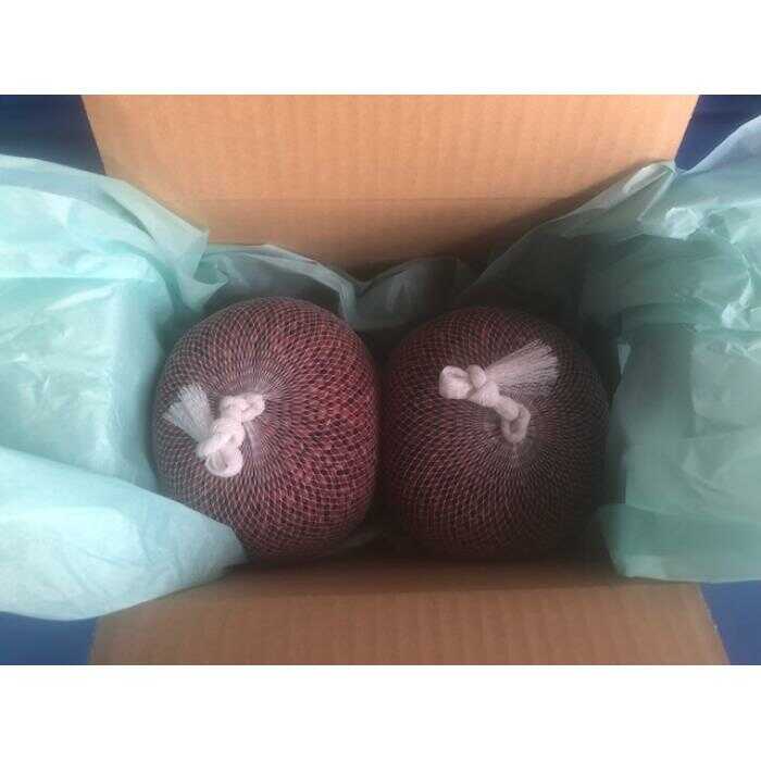 北海道 令和5年産 大納言小豆 1kg×2袋 計2kg 大納言 小豆 あずき 豆 まめ マメ 国産 十勝 和菓子 甘味 餡 ぜんざい おはぎ 赤飯 常温 お取り寄せ 党崎農場 送料無料　【野菜・あずき・豆類】　お届け：2023年12月中旬～2024年8月下旬まで