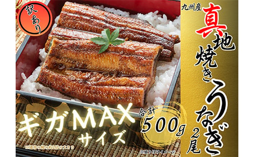 
            2756 【数量限定】大人気！鯉家の絶品蒲焼「真地焼きうなぎ蒲焼（2尾）訳あり規格外サイズ」500g」 【国産 手焼き 備長炭 鰻 うなぎ 惣菜 蒲焼 鹿児島県 訳あり 規格外】 冬うなぎ
          