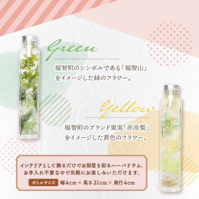 ふるさと納税 福智町 ハーバリウム2本セット「福智の煌」【緑×黄】 |  | 02