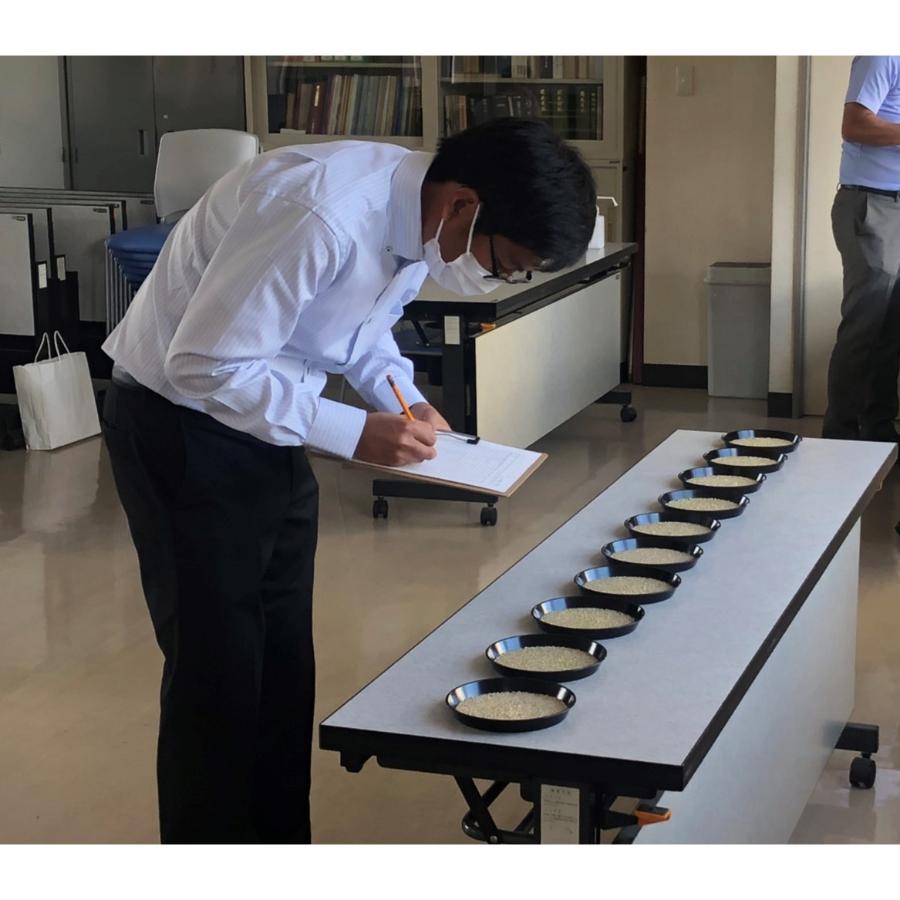 ＜丸光伊藤興農園＞芦別市産ゆきさやか300g×3袋