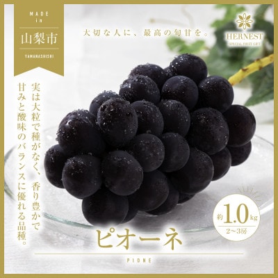 【2026年発送】山梨県山梨市産　旬の採れたてピオーネ　約1kg　2～3房【配送不可地域：離島】