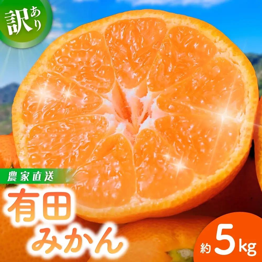 みかん 【訳あり】 有田みかん 約5kg 2026年11月～2027年1月に順次発送予定（お届け日指定不可）※北海道・沖縄・離島配送不可【nuk161E】