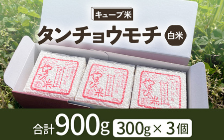 もち米 令和6年産 キューブ米 タンチョウモチ 2合 × 3個 計900g 真空パック 新庄やまびこ米（白米） [m23-a010]
