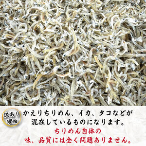 【獲れたて即加工！】 ちりめん 訳あり 1kg ちりめんじゃこ 徳島 小松島