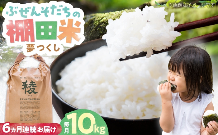 
                  【全6回定期便】新米 求菩提米 夢つくし 10kg (5kg×2袋)《豊前市》【アグリネックス】 米 お米 白米 10キロ 米10kg 米10キロ 新米 産地直送 精米 国産 おすすめ おいしい 人気 ランキング [VCO010]
                