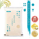 【ふるさと納税】特別栽培米　市川さんのこしひかり 令和6年産【7分つき米5kg×定期便3カ月】　コメ　信州　おいしい　ごはん【 米 コメ 備蓄品 仕送り おすそ分け 備蓄米 長野県 佐久市 】