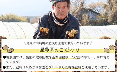 BH048 じゃがいも 希少品種 ながさき黄金 S〜2Lサイズ混合 約5kg [ 贅沢宝庫 長崎県 島原市 ]