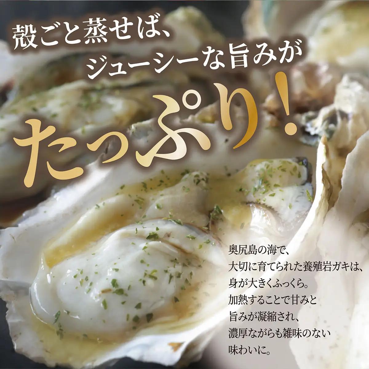 【先行予約 2025年7月20日より発送】奥尻島産養殖岩ガキ【Sサイズ】殻付き　30個入り（加熱食用）～豊かな海が育てた海の宝石～ 