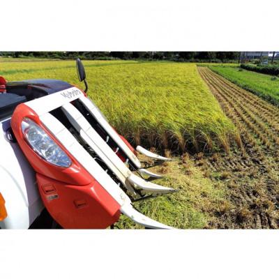 ふるさと納税 京丹後市 【令和7年産 先行予約】京都 丹後産コシヒカリ(玄米5kg)農家直送つやつやもっちり、京の米 |  | 01