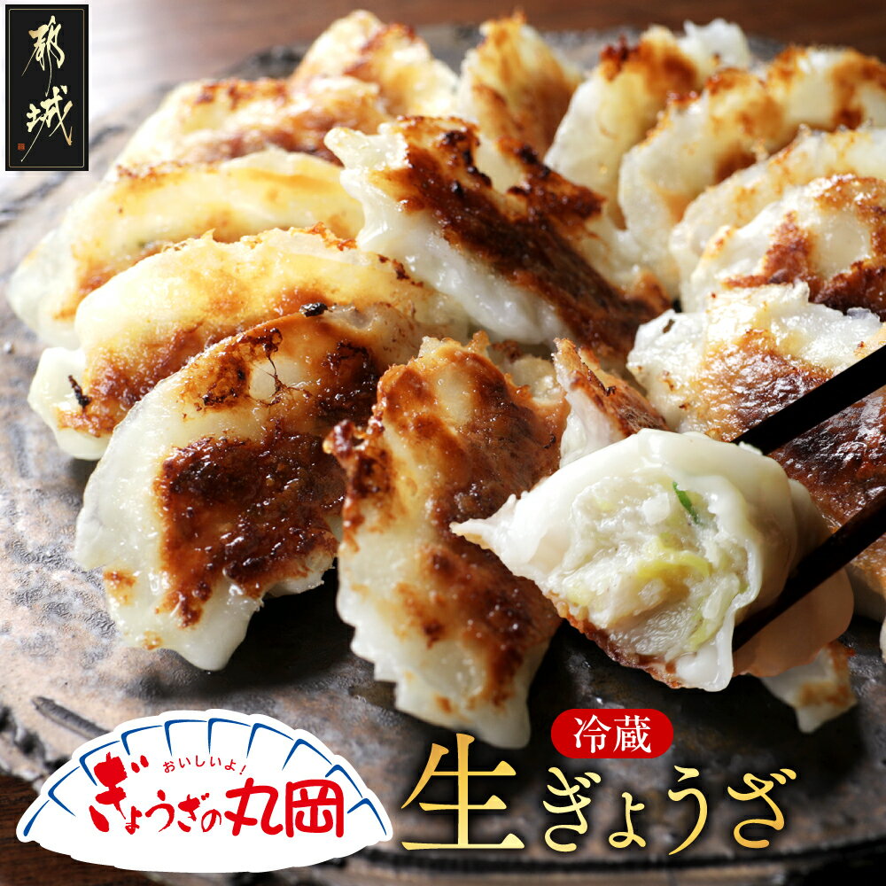 【ふるさと納税】【ぎょうざの丸岡】生ぎょうざ50個たれ付き - 餃子 国産豚肉 国産野菜 キャベツ ニンニク ネギ 焼き餃子 水餃子 揚げ餃子 ご当地グルメ 宮崎県 都城市 故郷の味 冷蔵配送 金曜日お届け 送料無料 AA-O101 【宮崎県都城市は2年連続ふるさと納税日本一！】