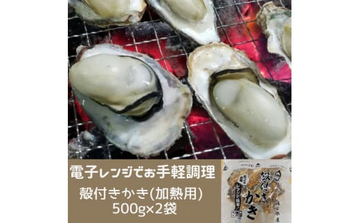 白方かき 電子レンジでお手軽調理　殻付きかき(加熱用)　500g×2袋【令和8年1月頃から4月頃までの期間限定出荷】【L-31】