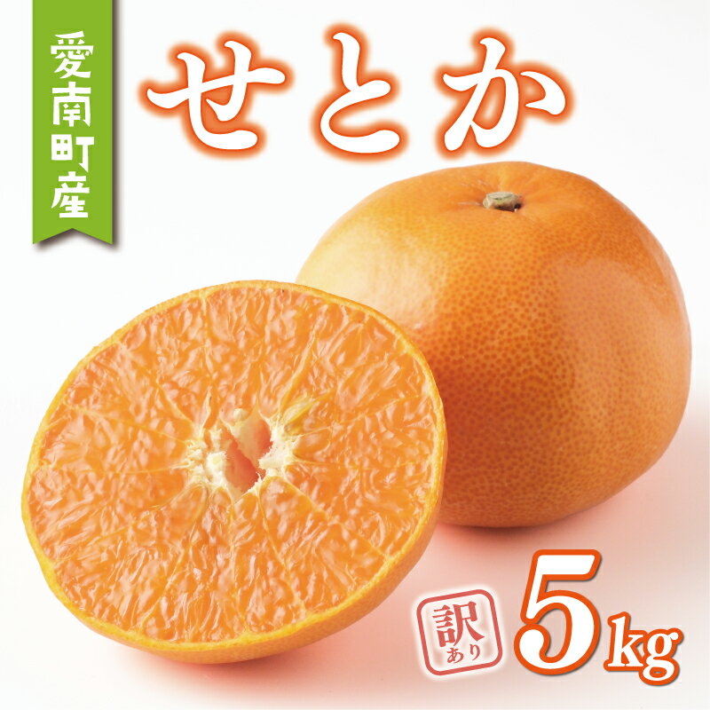 【ふるさと納税】 訳あり せとか 5kg みかん 家庭用 サイズミックス 12000円 高級 人気 ブランド プレミアム 柑橘 果物 フルーツ 数量限定 期間限定 国産 わけあり 特産品 お取り寄せ mikan 蜜柑 ミカン ビタミン 甘い おいしい 大トロ 不揃い ヤマカ園 愛南町 愛媛県