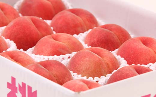 FYN6-116 ≪2026年先行予約≫9月発送 山形県産 品種おまかせ 白桃 約3kg（8～12玉） 秀品 硬めの桃 2026年9月上旬から順次発送 桃 もも モモ 果物 くだもの 夏果実 フルーツ