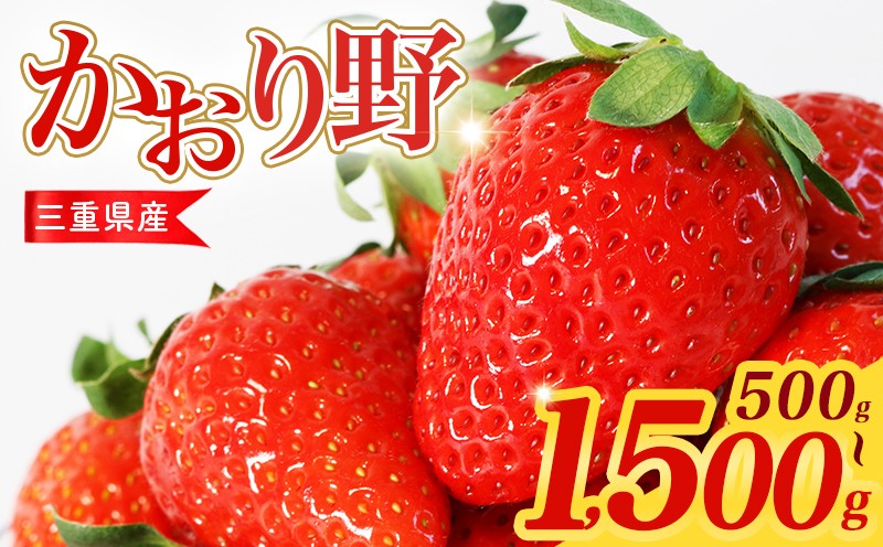 
                  【先行予約】 いちご 500g～1.5kg 選べる容量 かおり野 数量限定 苺 イチゴ ストロベリー 三重県産 ichigo strawberry 三重県 6000円 六千円 10000円以下 一万円以下
                
