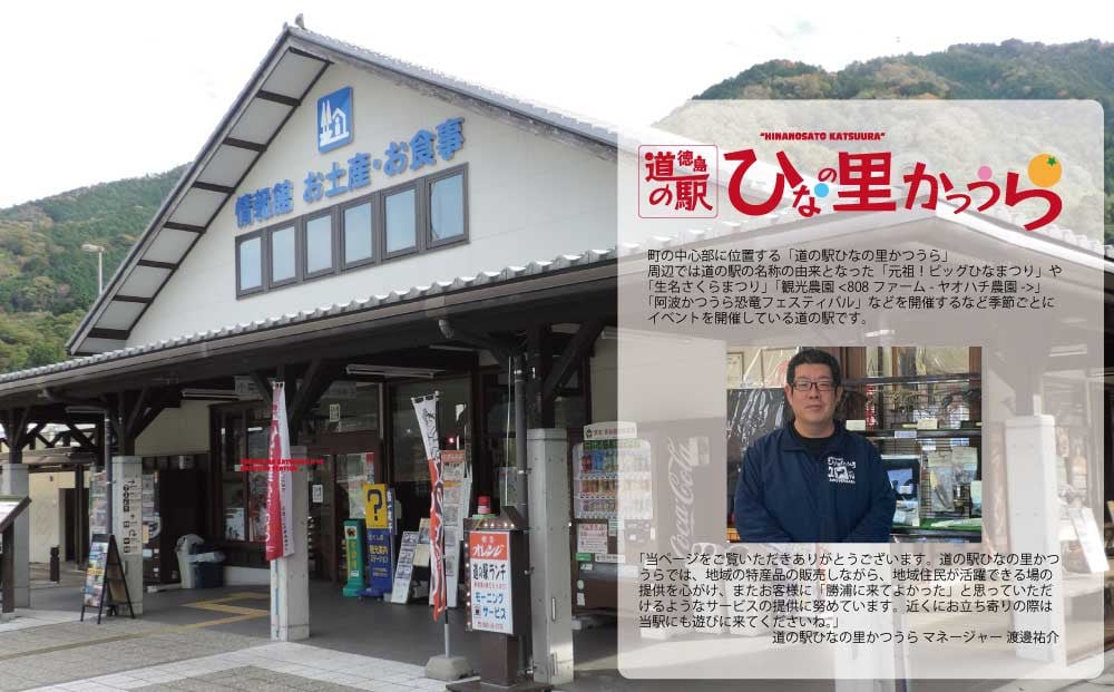 みかん ストレート ジュース 720ml 6本 果汁 柑橘 みかんジュース ミカンジュース みかんじゅーす オレンジジュース オレンジ 徳島 勝浦 ドリームチーム