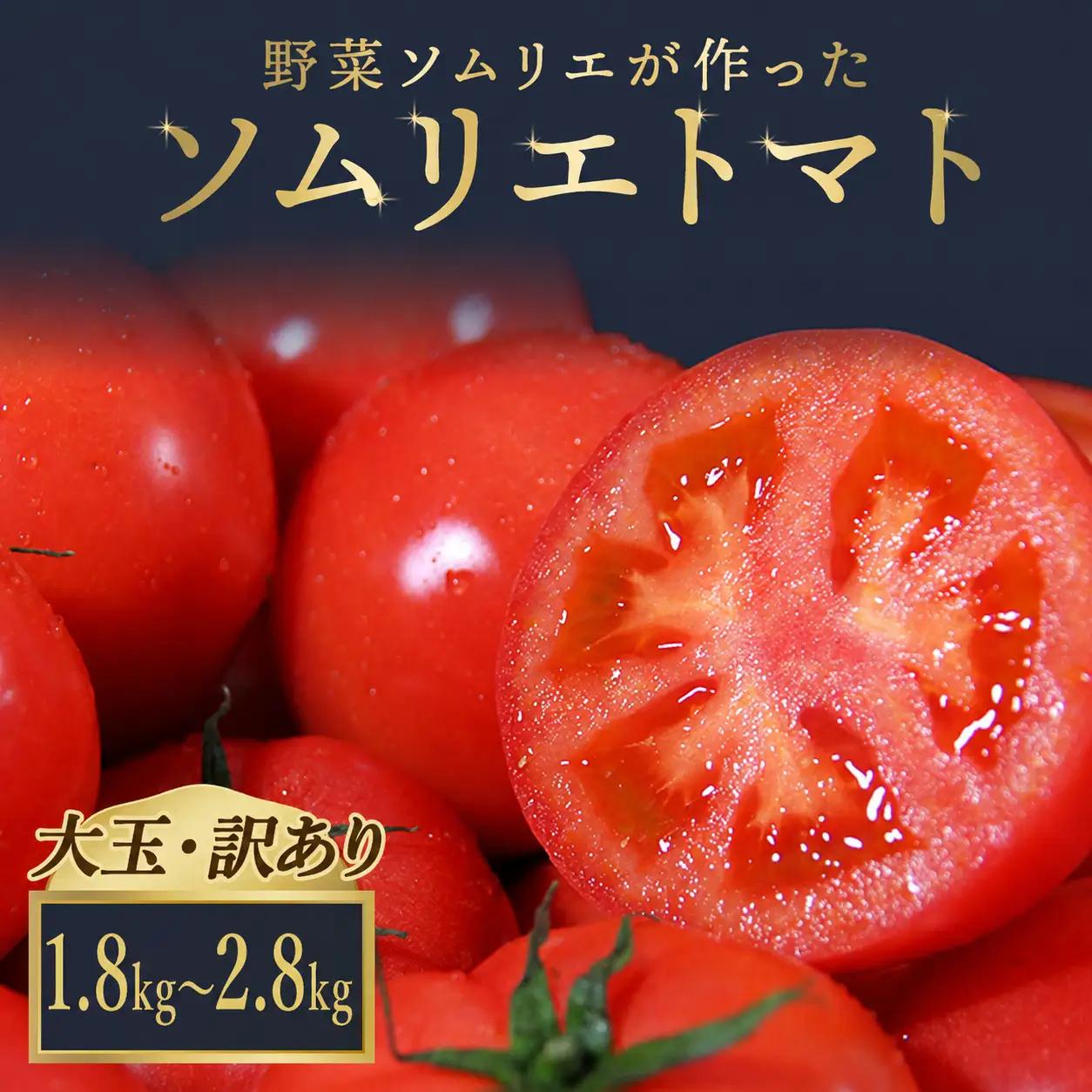 トマト 大玉【訳あり】1.8kg～2.8kg｜レッドアップ