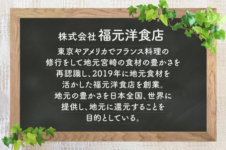 ビーフシチュー レトルト 宮崎牛ビーフシチュー 3P セット