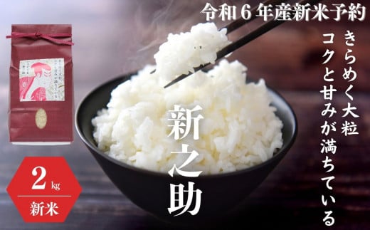 令和6年産新米予約『新之助』2kg 米・食味鑑定士お墨付き 家族みんなで愛情かけて育てた米 新潟県糸魚川産 2024年 しんのすけ 白米 百姓や伝六【米 お米 こめ 食品 人気 おすすめ ギフト 新潟県の新しいブランド米 農家直送 2キロ 先行予約 精米】