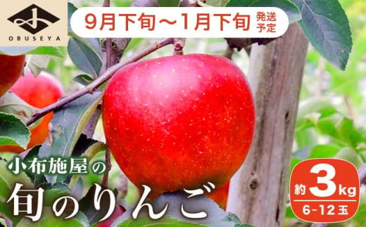 長野県産 季節の旬のりんご 約3kg 6～12玉［小布施屋］ りんご 林檎 リンゴ  果物 フルーツ 【2024年9月下旬～2025年1月下旬発送】 ［H-72］