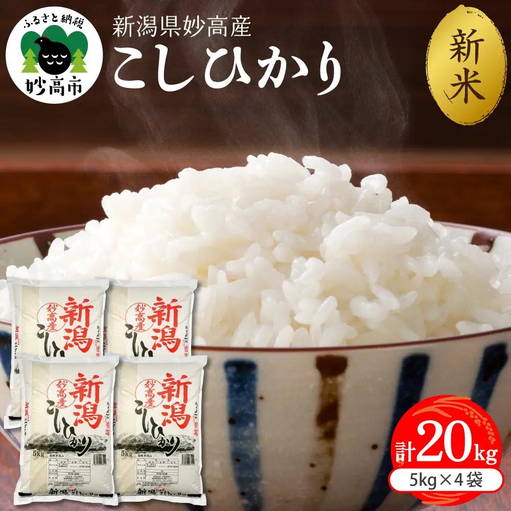 【2026年12月下旬発送】令和8年産 新潟県妙高産 こしひかり 20kg