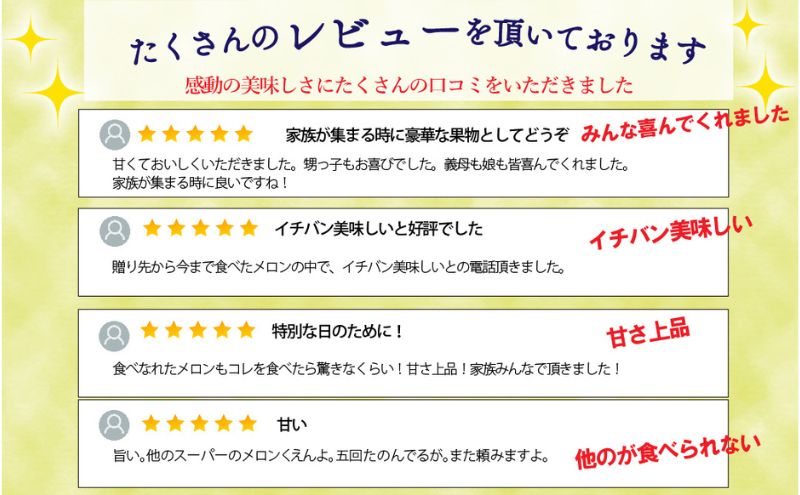 【奇数月 定期便】クラウンメロン並【白等級】1.3kg前後　2