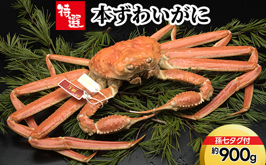 【特選】本ずわいがに約900g（孫七タグ付） ずわい蟹 ずわいガニ ズワイガニ 本ズワイガニ 本ずわいがに カニ 蟹 かに かにしゃぶ カニしゃぶ 蟹しゃぶ かに鍋 カニ鍋 蟹鍋 かに味噌 カニ味噌 かにみそ 魚貝類 魚介類 ボイル 国産 富山 富山湾 北陸 富山カニ 北陸カニ 富山かに 北陸かに 富山蟹 北陸蟹 ※2026年11月～発送