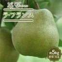 【ふるさと納税】 山形県産 ラ・フランス 約5kg 10～16玉 FSY-0844