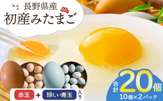 
            初産みたまご 10個×2パック |  生卵 たまご 玉子 鶏卵 初産みたまご 卵かけご飯 朝ごはん 玉子焼き 人気 長野県 塩尻市
          
