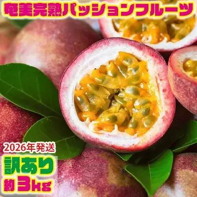 【2026年発送】奄美完熟パッションフルーツ 訳あり（約3kg） 果物  フルーツ