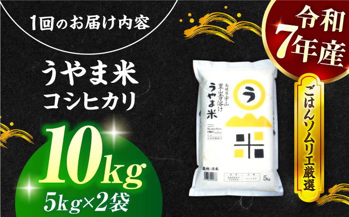 【令和7年産】【3回定期便】島根県産「うやま米 コシヒカリ（雲南市吉田町）」10kg（5kg×2） 島根県松江市/有限会社藤本米穀店 [ALCG061]