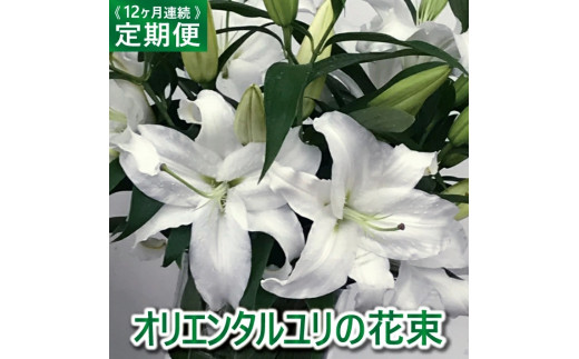 
SBT0008　【12回定期便】オリエンタルユリの花束
