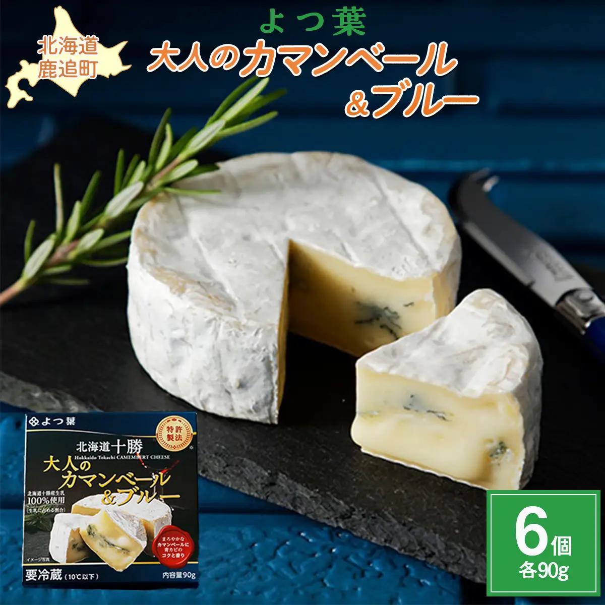 北海道十勝産 よつ葉大人のカマンベール＆ブルー6個 【  チーズ 贈答  ギフト セット  送料無料 】 SKA033