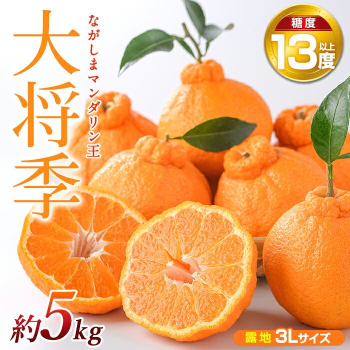 【ふるさと納税】【先行予約】ながしまマンダリン王【露地】(大将季) 約5kg 国産 長島 果物 フルーツ 柑橘 みかん オレンジ おやつ セット 詰め合わせ【ながしまマンダリングループ】mandarin-7197
