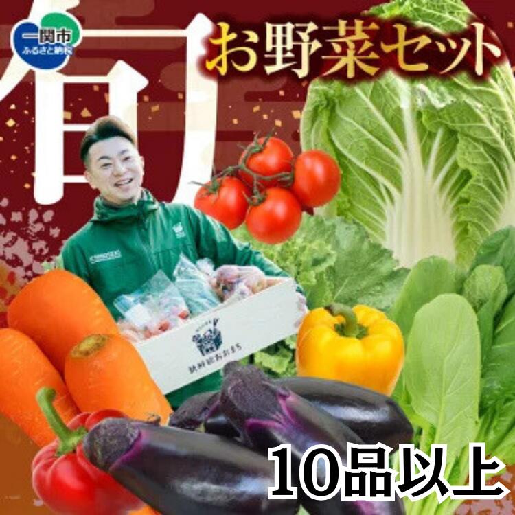 【ふるさと納税】野菜 お楽しみ 野菜セット 旬 新鮮 詰め合わせ 10品以上 果物 フルーツ ギフト 直送 農家 おまかせ お取り寄せ 産直直送 産直 冬 春 サラダ 詰合せ りんご きのこ