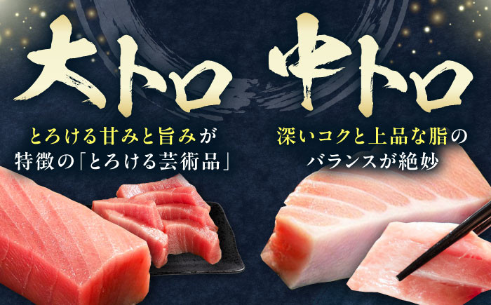 冷凍 マグロ まぐろ 中とろ 鮪 本マグロ 赤身 ねぎとろ トロ 刺身 寿司 海産物 鉄火丼 食べ比べ 海鮮 柵 大とろ 定期便