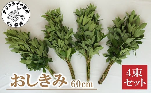 
            おしきみ60cm 4束セット( しきみ ハナシバ ハナノキ お悔やみ 仏壇 墓花 墓参り 仏前草 盆 お彼岸 60センチ 4束セット )【A7-063】
          