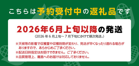 ＳＤＧｓ米糠堆肥で作ったとうもろこし「博多あまっコーン（品種おおもの）」約４.5キロ以上_酒見農産_Gv035