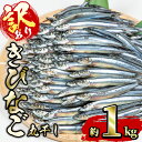 【ふるさと納税】＜訳あり・業務用＞きびなごの丸干し (計約1kg) 干物 ひもの 唐揚げ フライ 天ぷら 焼き物 お弁当 おかず お酒のおつまみ 大分県 佐伯市 【GH001】【増野善雄商店】