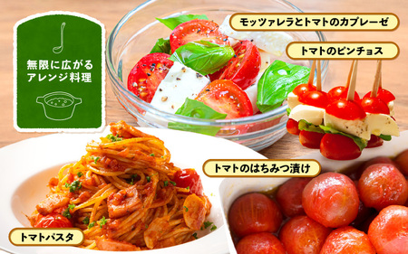 定期便 ≪12ヶ月連続お届け≫ フルーツミディトマト 約1kg × 12回 トマト 野菜  [m37-g001]