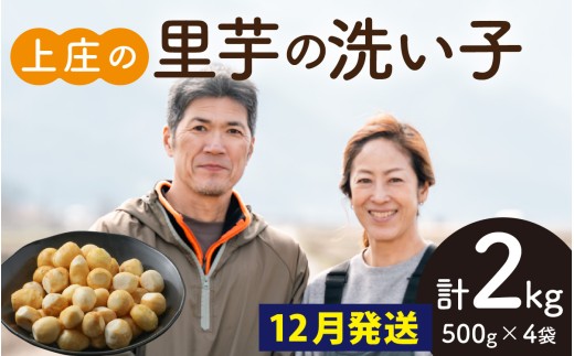【先行予約】【12月発送】皮むきいらず、煮っ転がしに最適！上庄の里芋の洗い子 計2kg (500g × 4袋)　【冷凍】