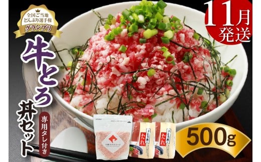 【11月発送】発送月が選べる！受賞歴多数！人気の牛とろ丼セット 500g 専用タレ付き_S006-0022