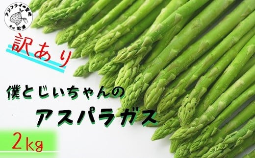 
            訳ありご家庭用に大活躍！僕とじいちゃんのアスパラガス2kg( 訳あり 不揃い アスパラガス 大容量 新鮮 朝採れ 野菜 生産者直送 )【B0-160】
          