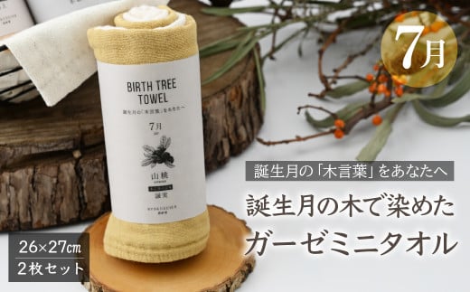 7月「山桃」の木言葉 「誠実」　 BIRTH TREE TOWEL  | RYOKUSUIEN 緑酔園 草木染め THE NEWOLD WORKS バースツリータオル 山桃 誠実 ガーゼ タオル ハンカチ  ふわふわ 植物 草木染ガーゼ アップサイクル エシカル ヘリンボーン ギフト贈り物 お祝い プレゼント 母の日 父の日 記念日　埼玉県 草加市 草加