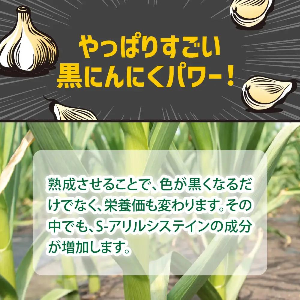 青森県産黒にんにく バラ 500g  にんにく